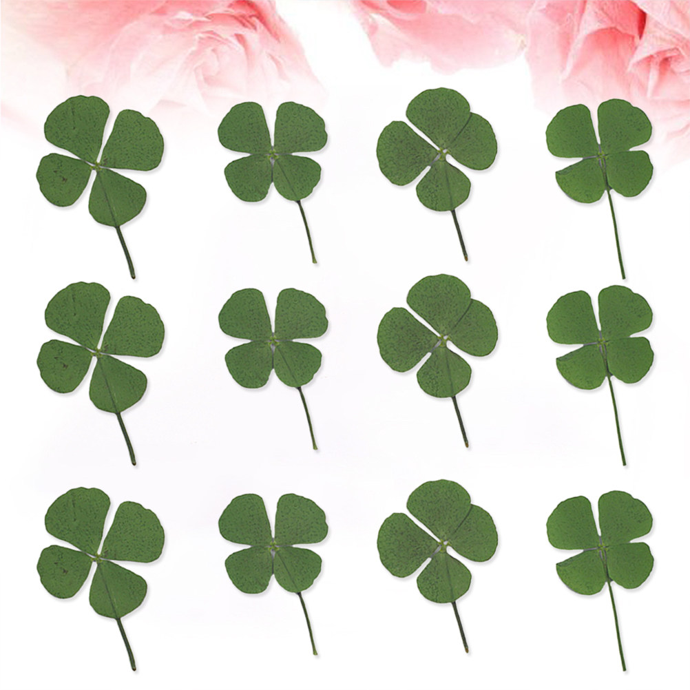 12Pcs Four Leaf Clover Dried C - đánh giá và giá Resin Craft Material