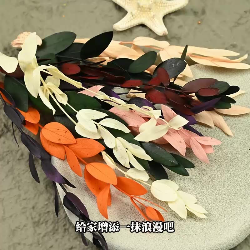 Dried  Flower Preserved Flower - đánh giá và giá Flower Preservation Resin